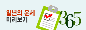 일년 사주